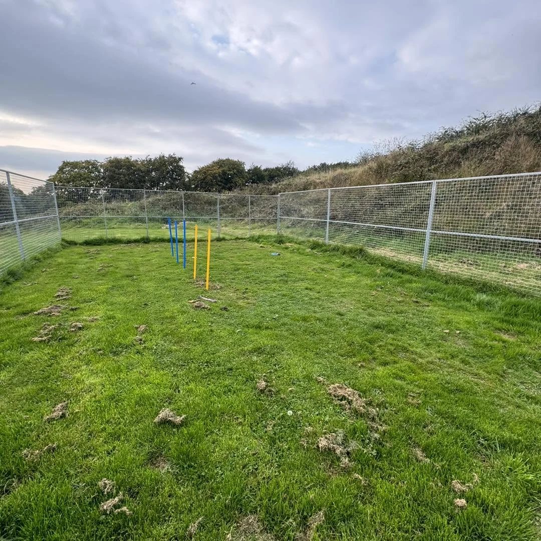 The fenced grass paddock with weave poles